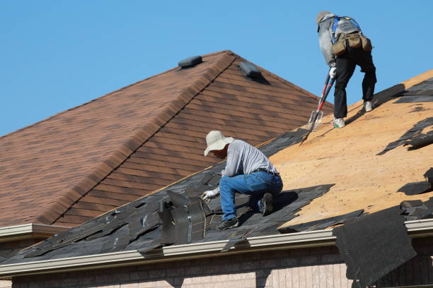 Best Metal Roofing Installation  in USA